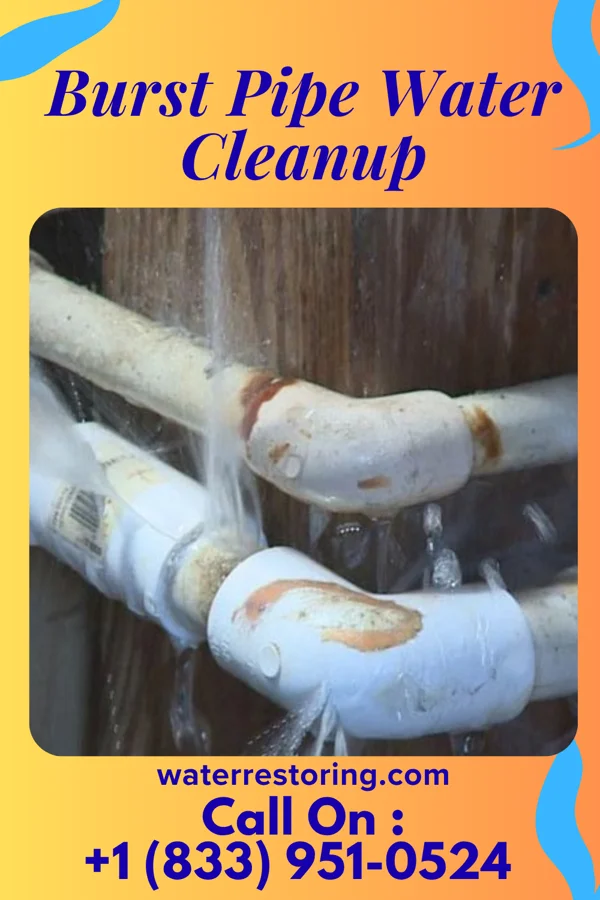 Burst Pipe Water Cleanup in Lawrence, MI