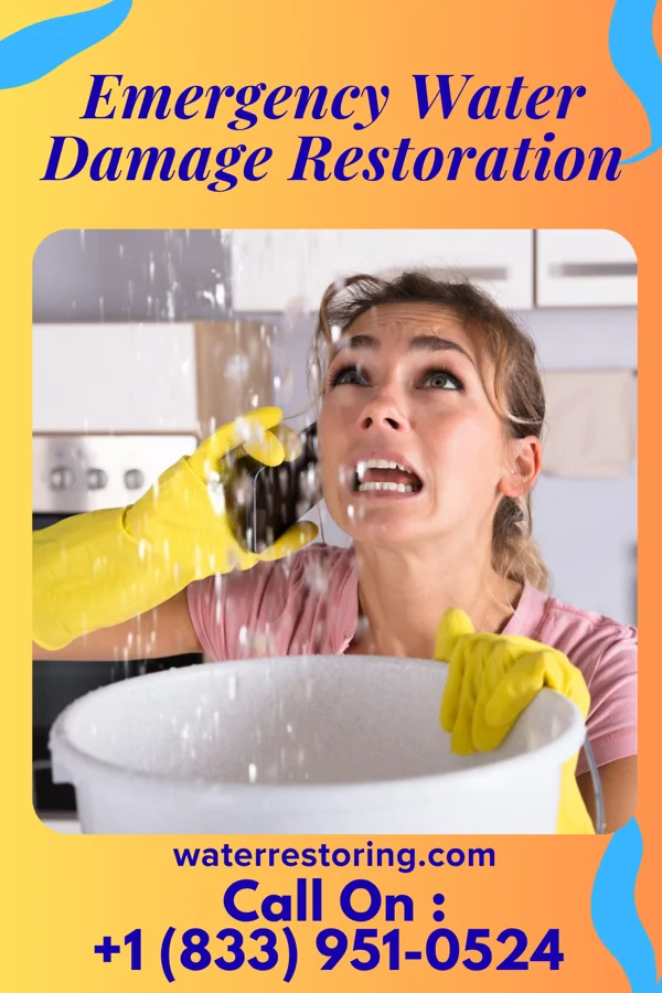 Emergency Water Damage Restoration in Lawrence, MI