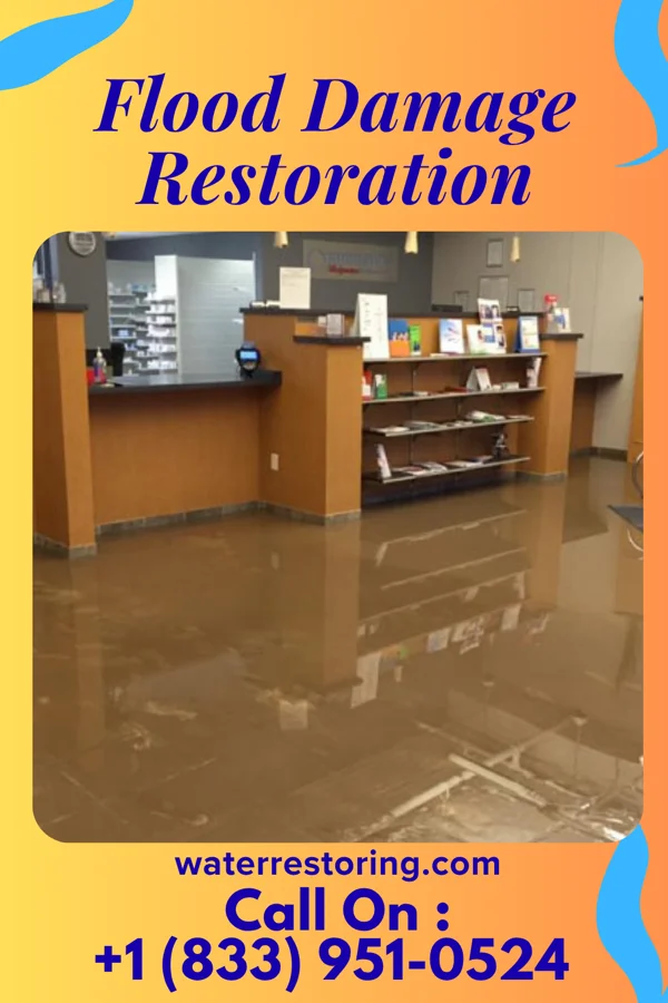 Flood Damage Restoration in Lawrence, MI