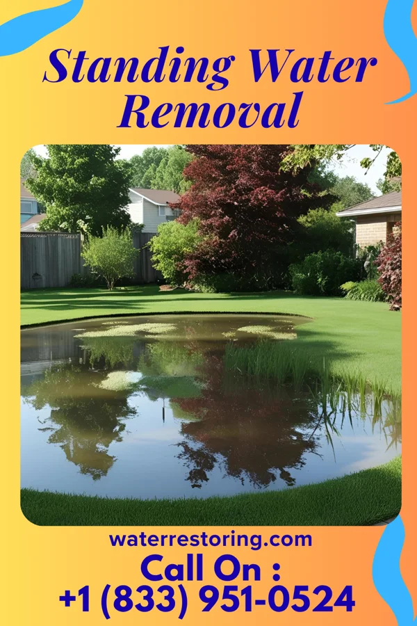 Standing Water Removal in Lawrence, MI